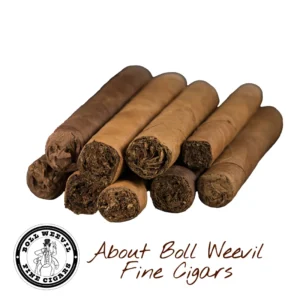 Boll Weevil Fine Cigars - About Us